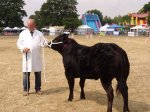 Cattle Schedule