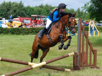 Pony Show Schedule